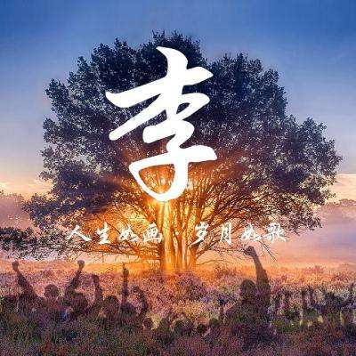 成人三国志游戏下载