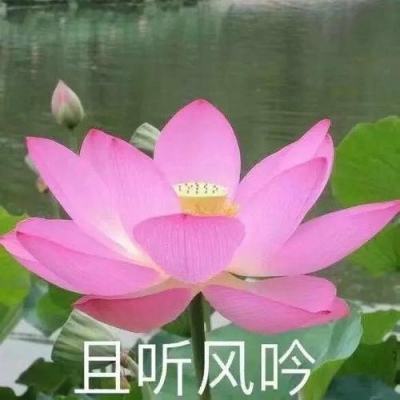 烈火雷霆王者之怒官方版下载