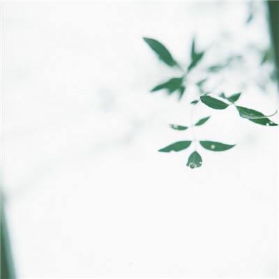 妈妈把我的游戏藏起来了2破解版下载