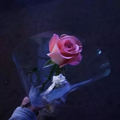 我在江湖之剑来手游